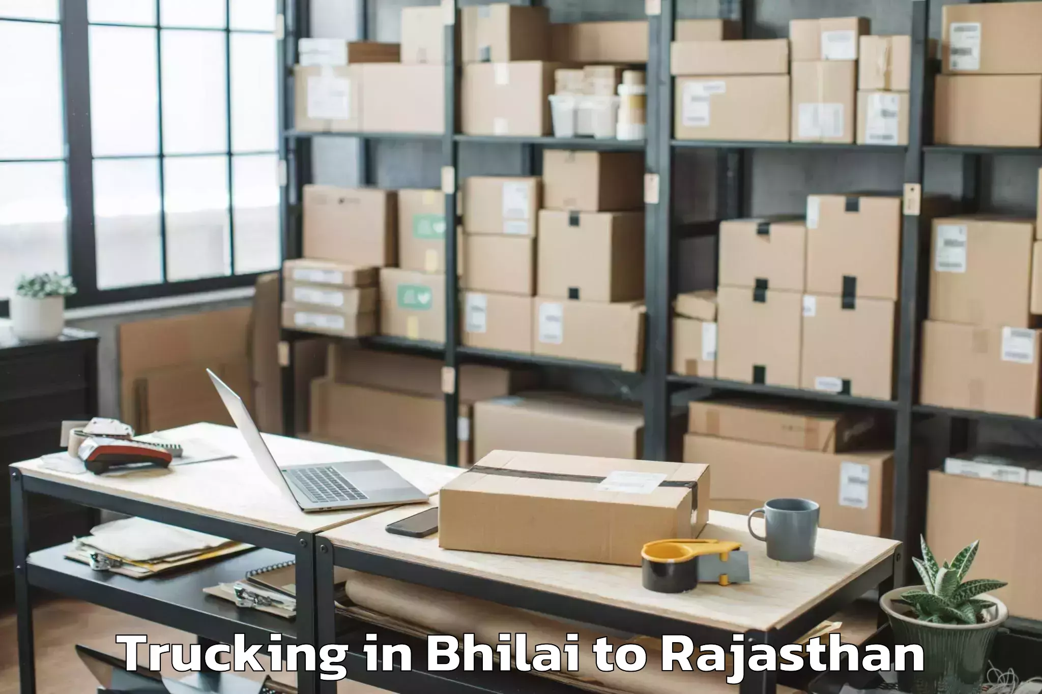 Book Bhilai to Amet Trucking Online